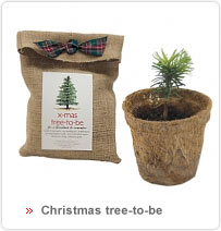 Schenkshop - Christmas tree to be